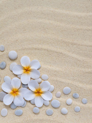 Fototapeta na wymiar Tiare flowers and stones on the sand