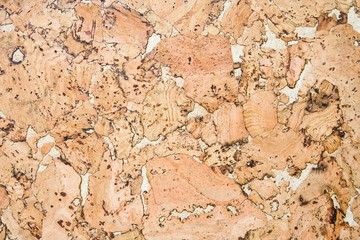 Cork background