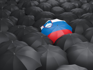 Umbrella with flag of slovenia