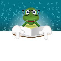 Turtle Teacher Pupil learning school preschool collage