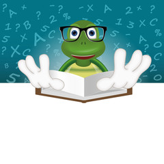 Turtle Teacher Pupil learning school preschool collage