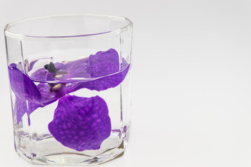 Purple orchid flower in glass of water, isolated on white