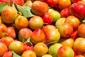 prunes locales, île de la Réunion