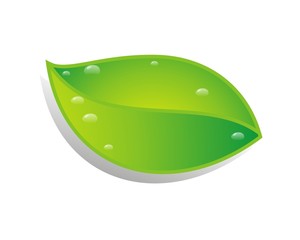 leaf plant green herb logo image vector