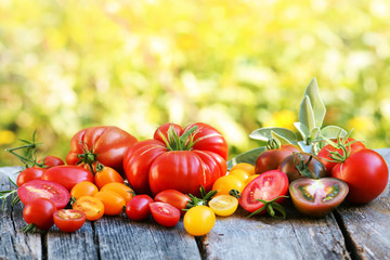 Tomaten - Sorten - Vielfalt