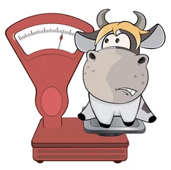 Zelfklevend Fotobehang A small cow and weighing scale. Cartoon © liusa