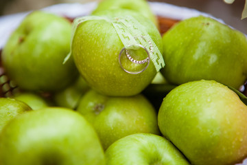 wedding rings on the green apples