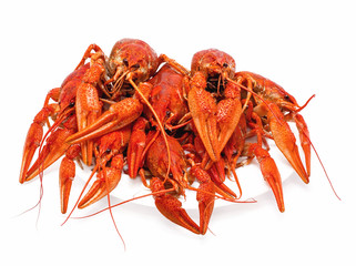 large red crabs