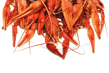 Foto op Plexiglas red boiled crawfish on a white background © Lumppini