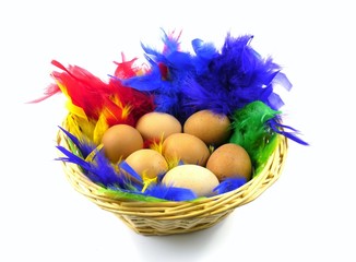 Easter eggs in a basket with colorful feathers