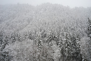 Snowy landscape in Engelberg