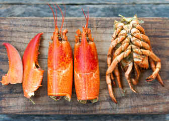 Lobster