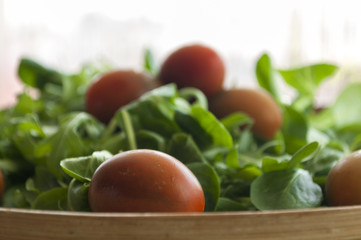 salad with cherry tomatoes