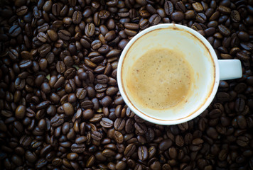 empty coffee cup on coffee bean background