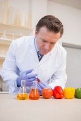 Scientist injecting vegetables