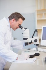 Naklejka na ściany i meble Scientist examining sample with microscope