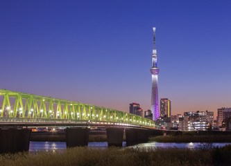 Obraz premium Tokyo city view with Tokyo sky tree and sumida river at twilight