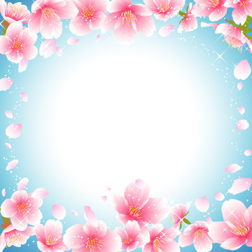 桜