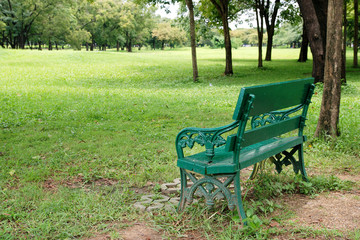 Public Bench in the park on green field