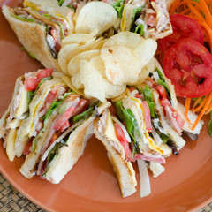 Healthy Tuna Sandwich with Vegetable