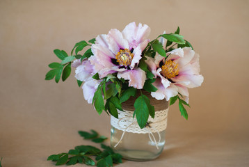 Beautiful pink and white wood peonies in a decorative vase on a 