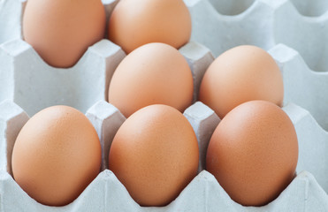 Healthy food brown chicken egg in carton container