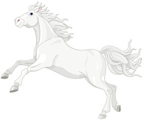 Fototapeta na wymiar Beautiful white horse