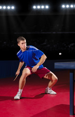 Table tennis player at sports hall