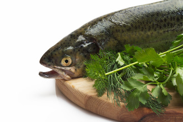 Fresh trout on wood cutting board on on white background
