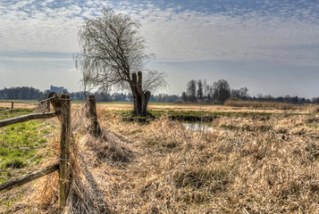 Landschaft in Berlin