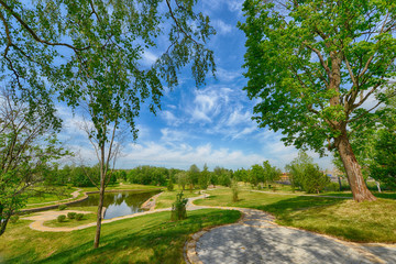 landscape