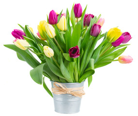 bouquet of  yellow and purple  tulip flowers