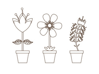 flowerpot icon