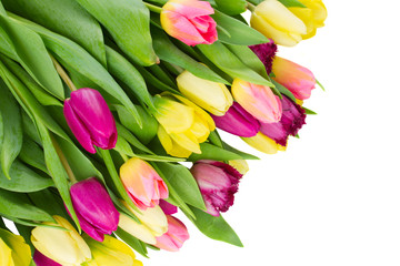 Obraz premium bouquet of yellow and purple tulip flowers