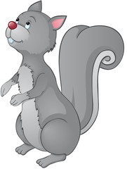 Grauhörnchen