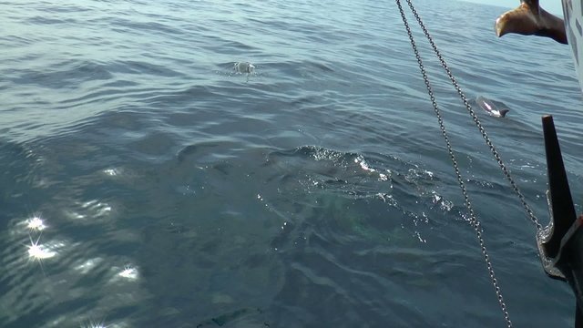 rencontre en mer