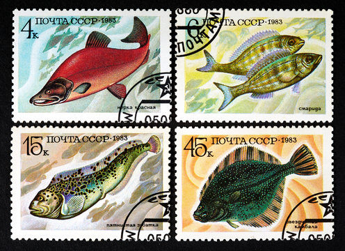 series of stamps printed in USSR, shows fishes, 1983