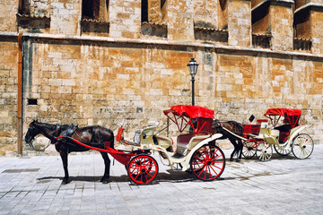 Horse Carriage, Majorca