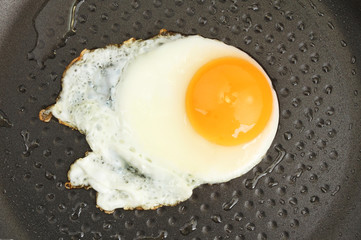 Fried egg