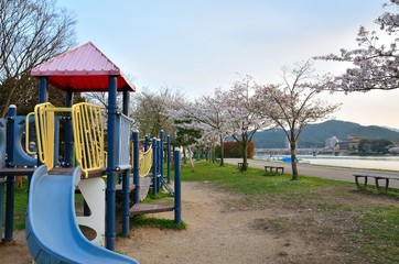 Fototapeta na wymiar 唐橋公園の桜