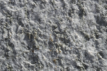 texture granito 2