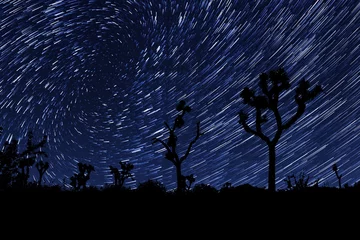 Papier Peint photo Lavable Nuit Long Exposure Star Trails In Joshua Tree National Park