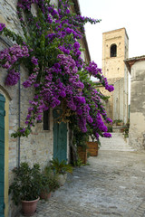 Fototapeta premium Edificio fiorito