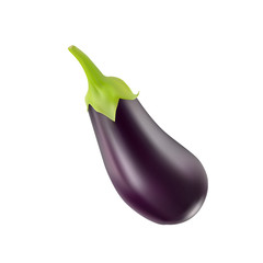 Eggplant Isolated on white background