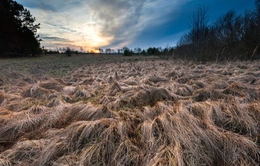 Withered grassland and sunset