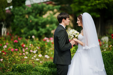 Young beautiful wedding couple