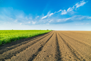 Arable land