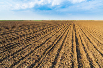 Arable land