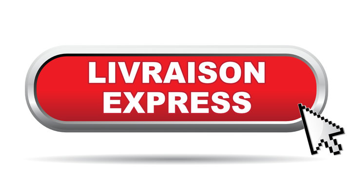 LIVRAISON EXPRESS ICON