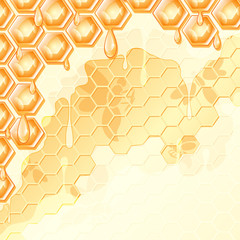 honey honeycomb